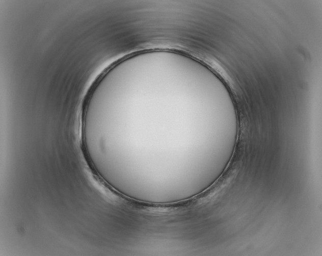 X0000112371132200909031926