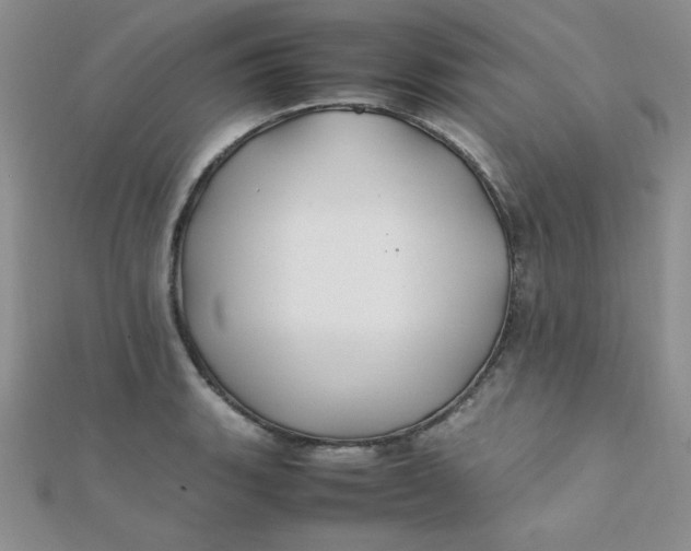 X0000112371135200909031926