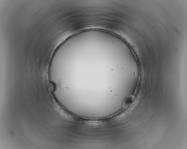 X0000112371137200909031926