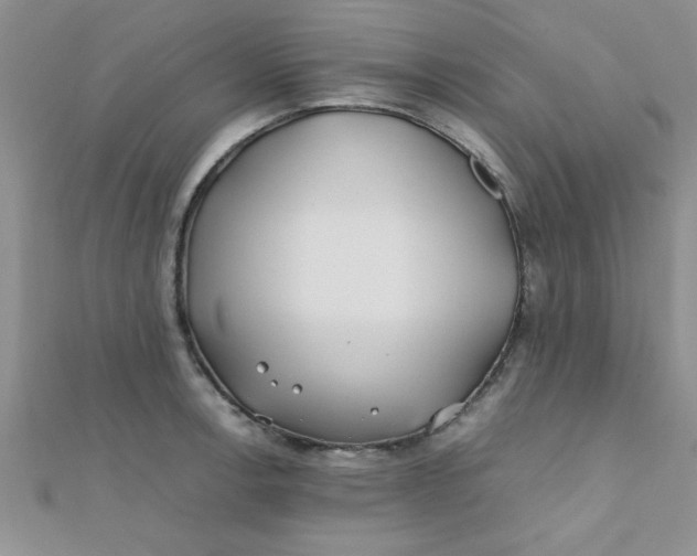 X0000112371138200909031926