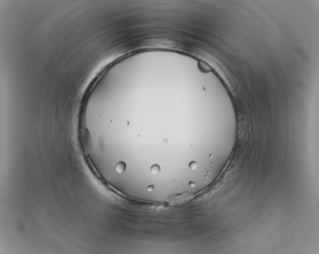 X0000112371139200909031926