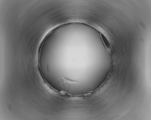 X0000112371140200909031926