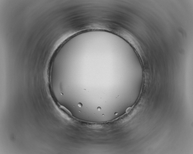 X0000112371141200909031926