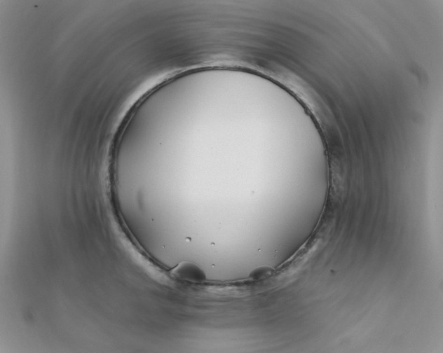 X0000112371142200909031926