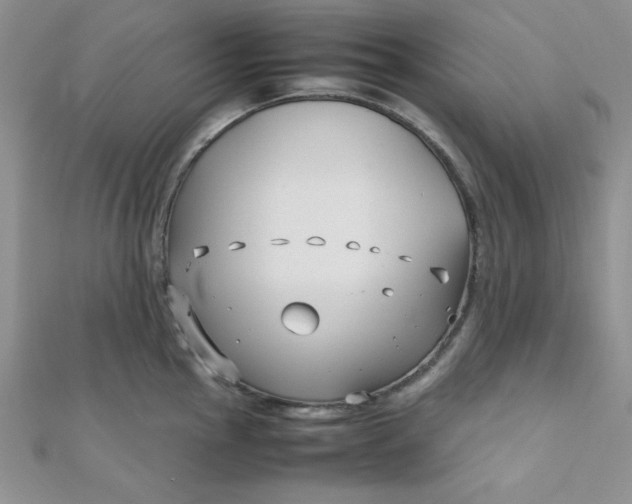 X0000112371145200909031926