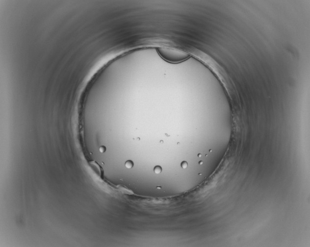 X0000112371147200909031926