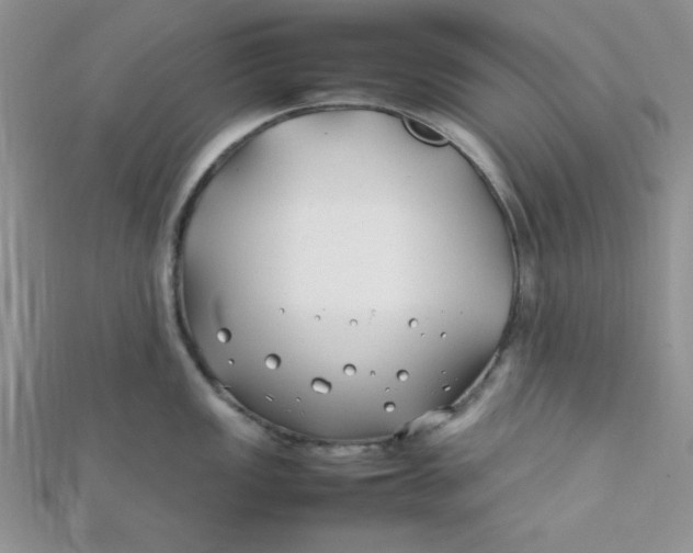 X0000112371149200909031926