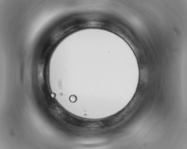 X0000112371150200909031926