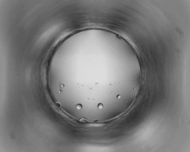 X0000112371151200909031926