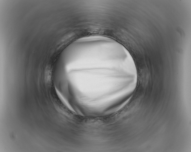 X0000112371154200909031925