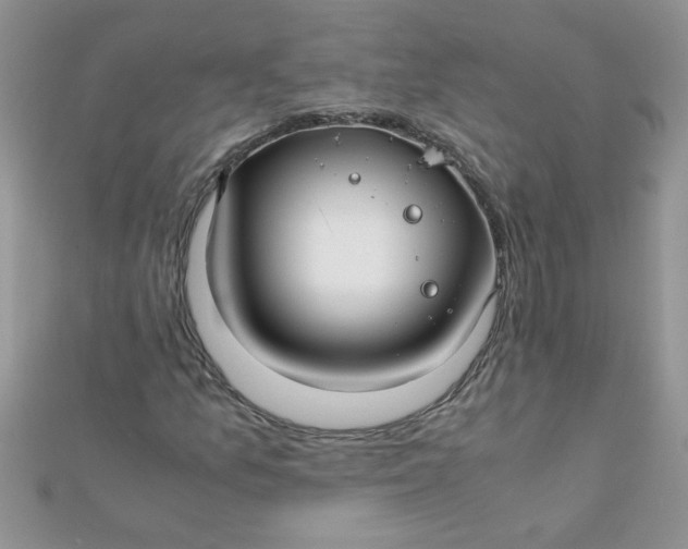 X0000112371157200909031925