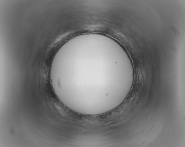 X0000112371158200909031925