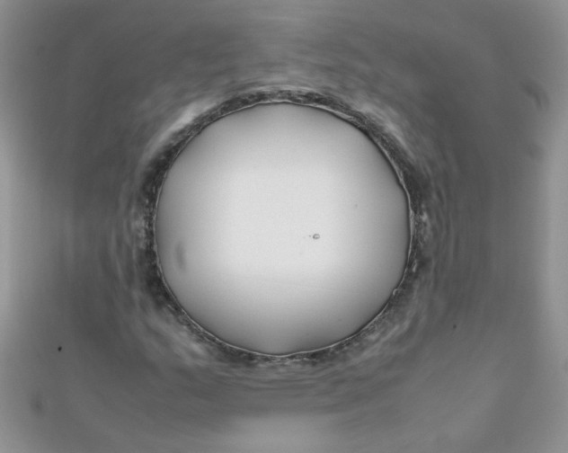 X0000112371159200909031925