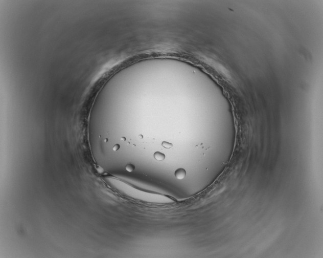 X0000112371160200909031925