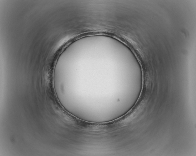 X0000112371163200909031925