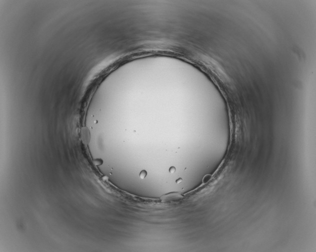 X0000112371164200909031925