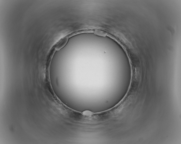 X0000112371165200909031925