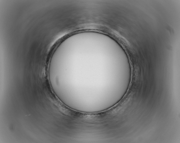 X0000112371166200909031925