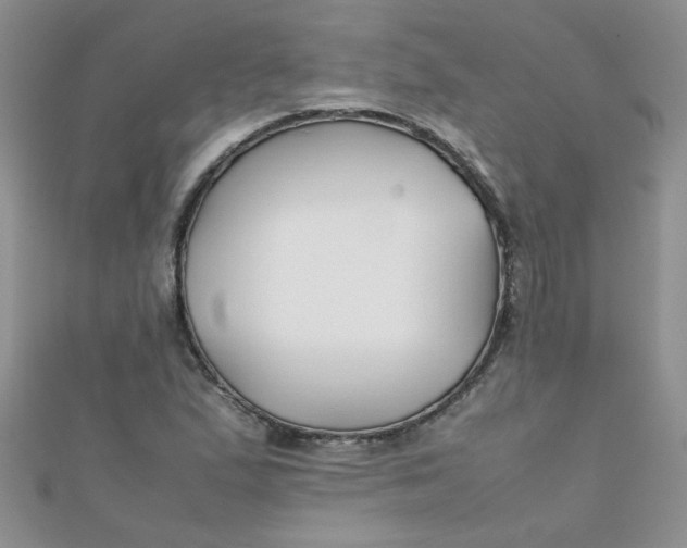 X0000112371167200909031925