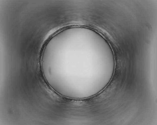 X0000112371168200909031925