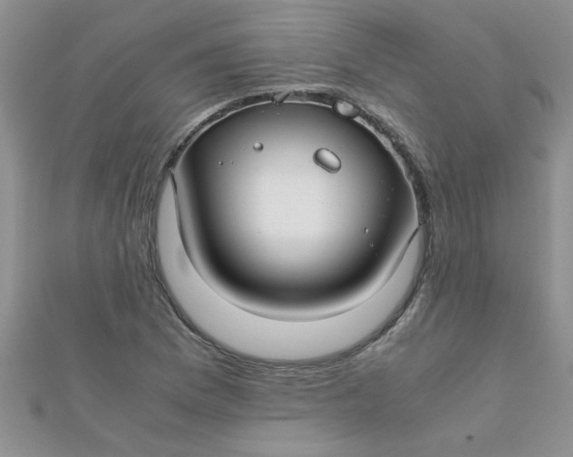 X0000112371169200909031925