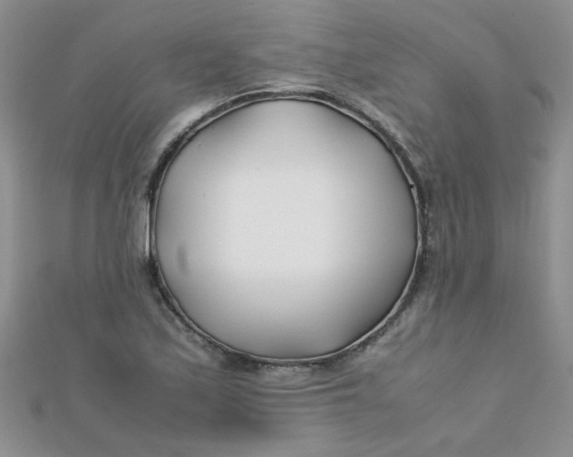 X0000112371171200909031925