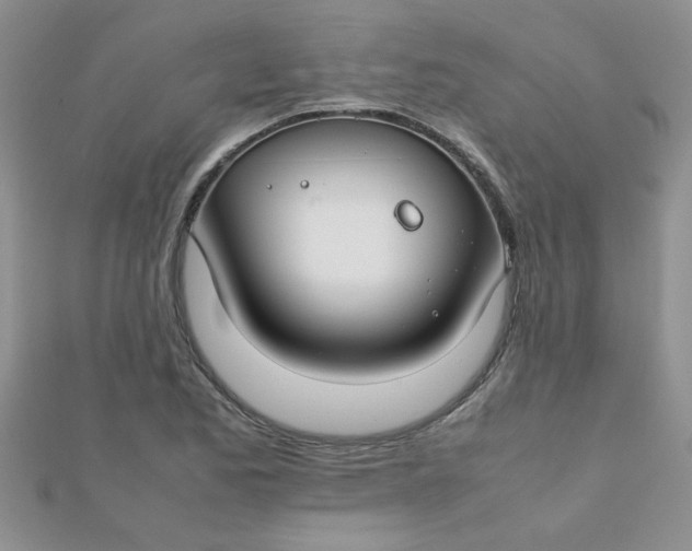 X0000112371173200909031925