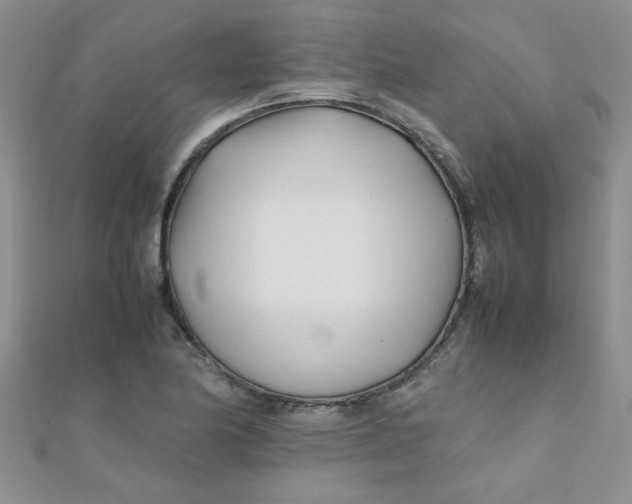 X0000112371174200909031925