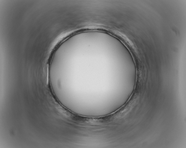 X0000112371175200909031925