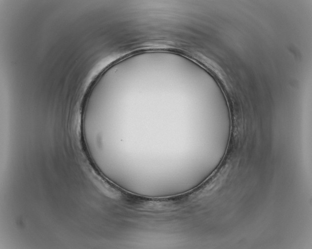 X0000112371179200909031925