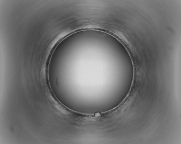 X0000112371181200909031925