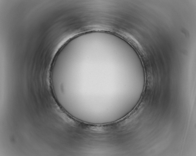 X0000112371182200909031925