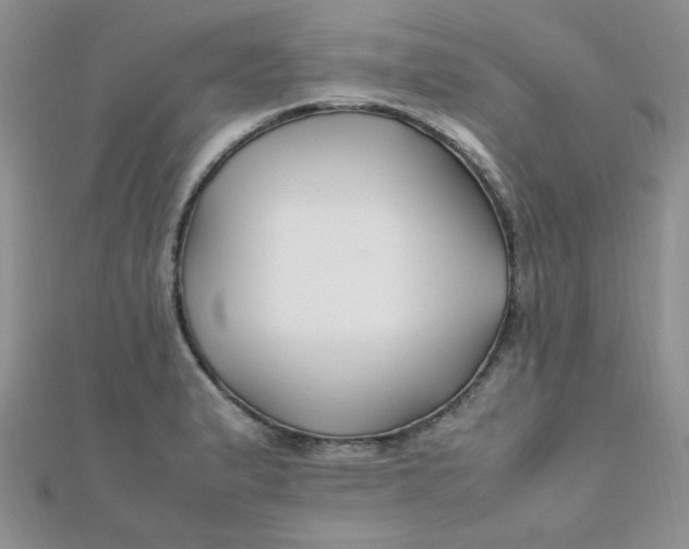 X0000112371183200909031925