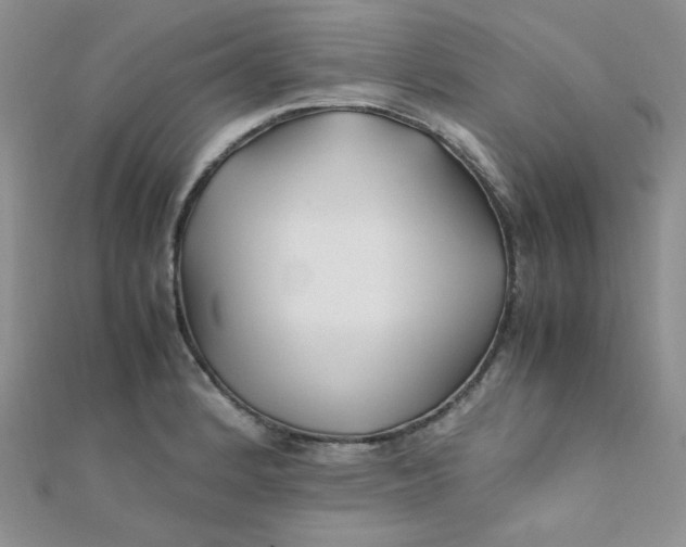 X0000112371184200909031925