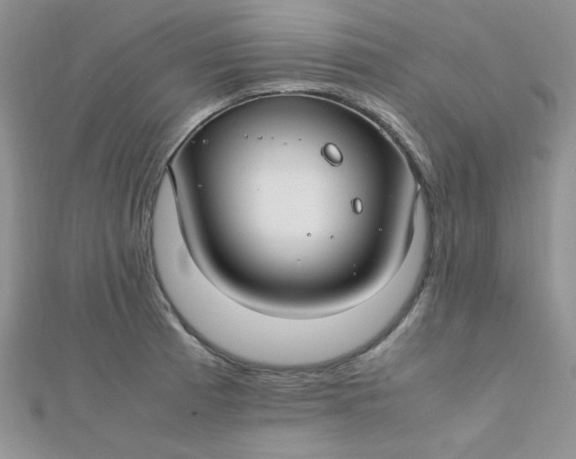 X0000112371185200909031925