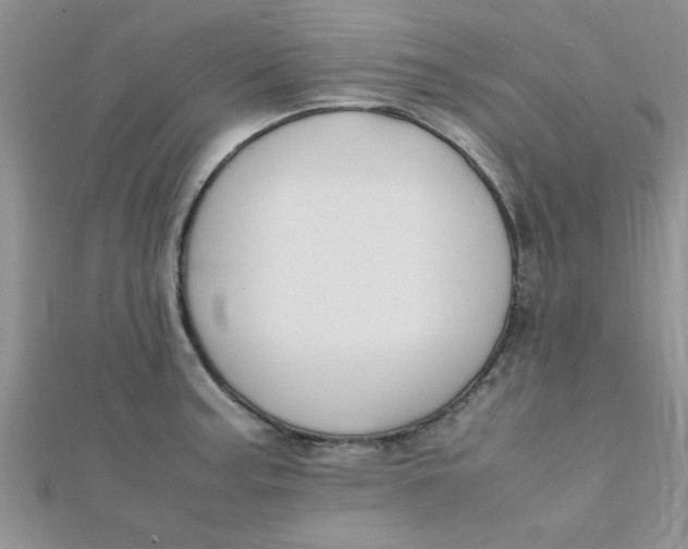 X0000112371187200909031925