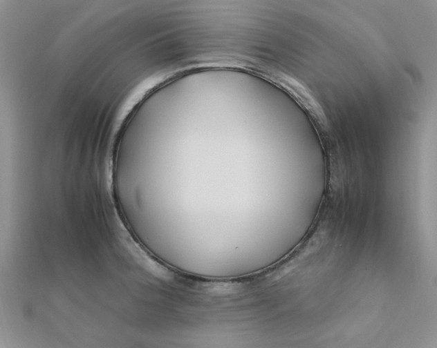 X0000112371188200909031925