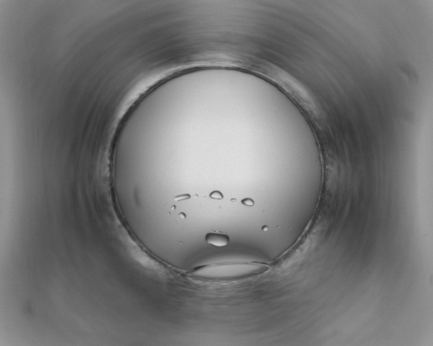 X0000112371192200909031925