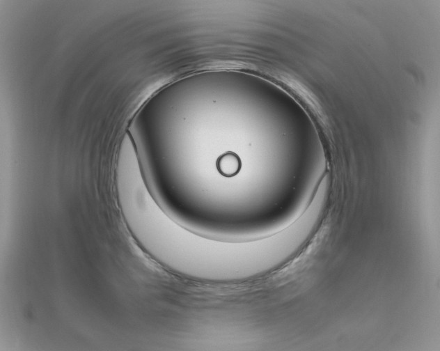 X0000112371193200909031925