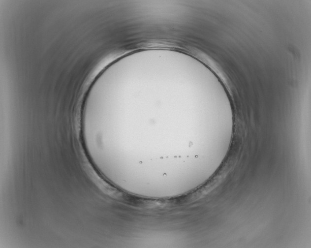 X0000112371195200909031925