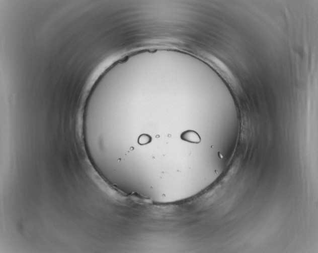 X0000112371196200909031925