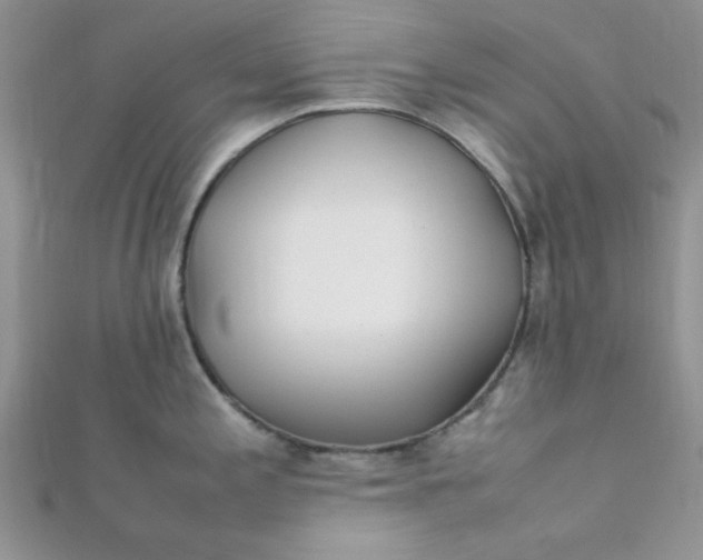 X0000112371197200909031925