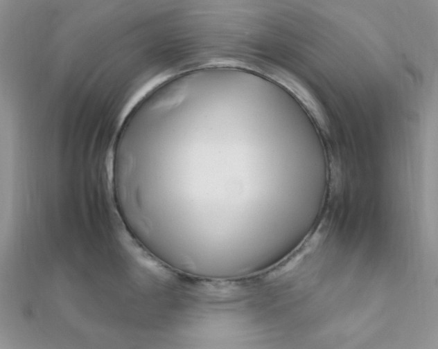 X0000112371198200909031925