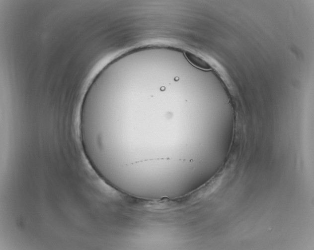 X0000112371199200909031925