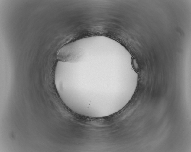 X0000112371201200909031924