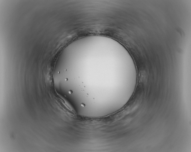 X0000112371202200909031924