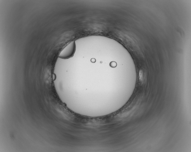 X0000112371203200909031924