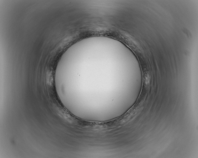 X0000112371204200909031924