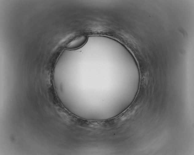 X0000112371205200909031924