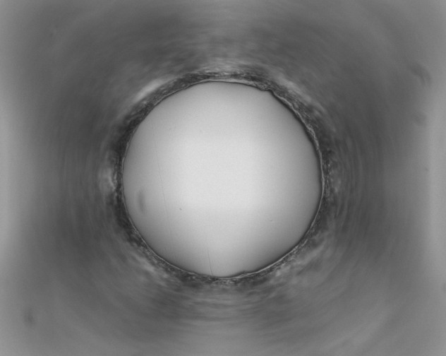 X0000112371206200909031924